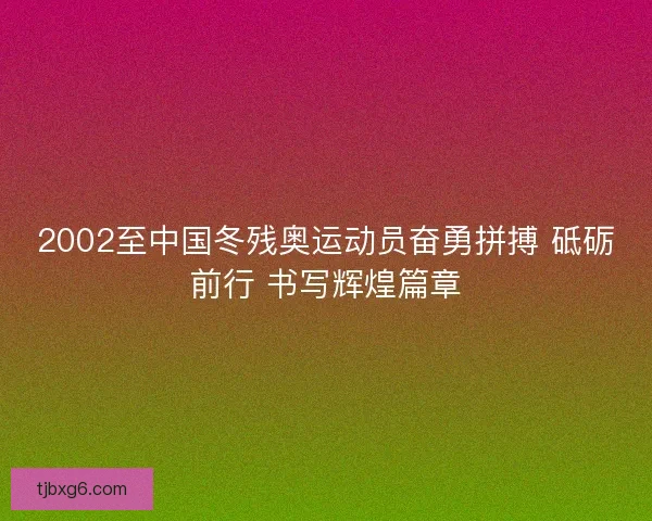 2002至中国冬残奥运动员奋勇拼搏 砥砺前行 书写辉煌篇章