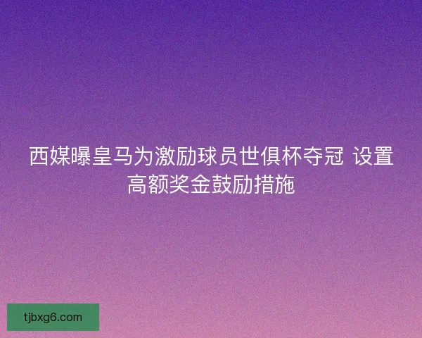 西媒曝皇马为激励球员世俱杯夺冠 设置高额奖金鼓励措施